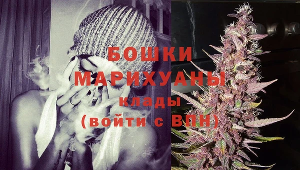 молекула духа Кулебаки