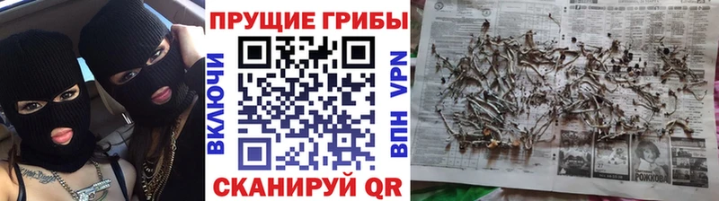 Галлюциногенные грибы ЛСД  Монино 